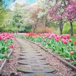 Amenagement du jardin : que comprend-il ?